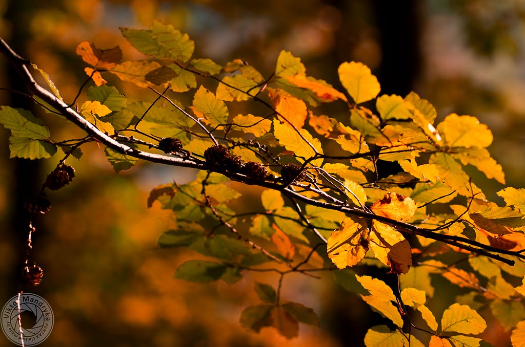 Autumn by Viktor Mandryka