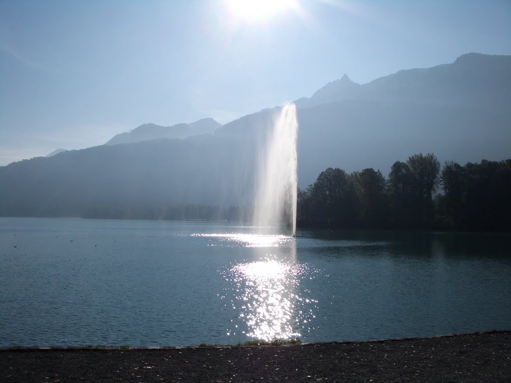 Springbrunnen von Weesen am Walensee by Markus Studer