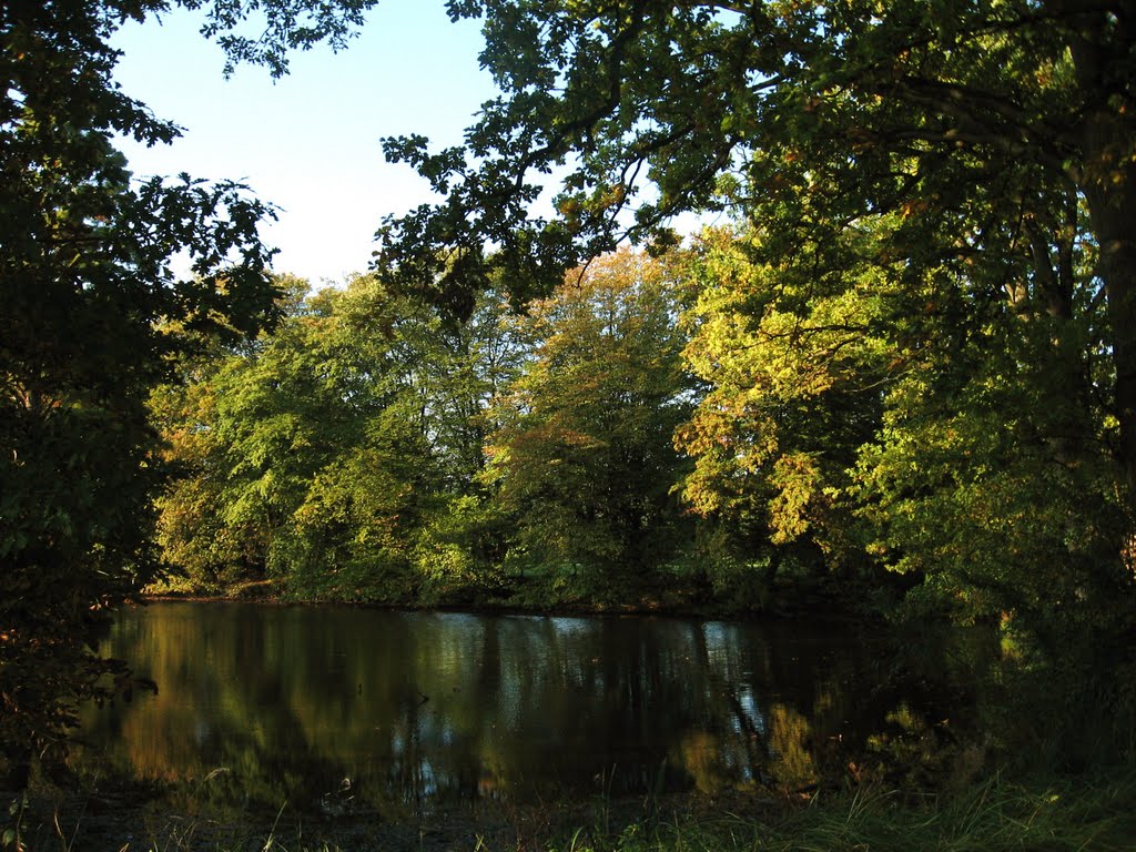 Die Bäume spiegeln sich im Weiher von Schloß Haag...Geldern ... by eichhörnchen