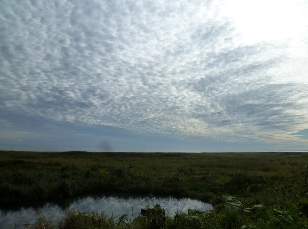 釧路国道からの眺め (北海道釧路市) (The view from Route 38, Kushiro City, Hokkaido, Japan) by scarbo