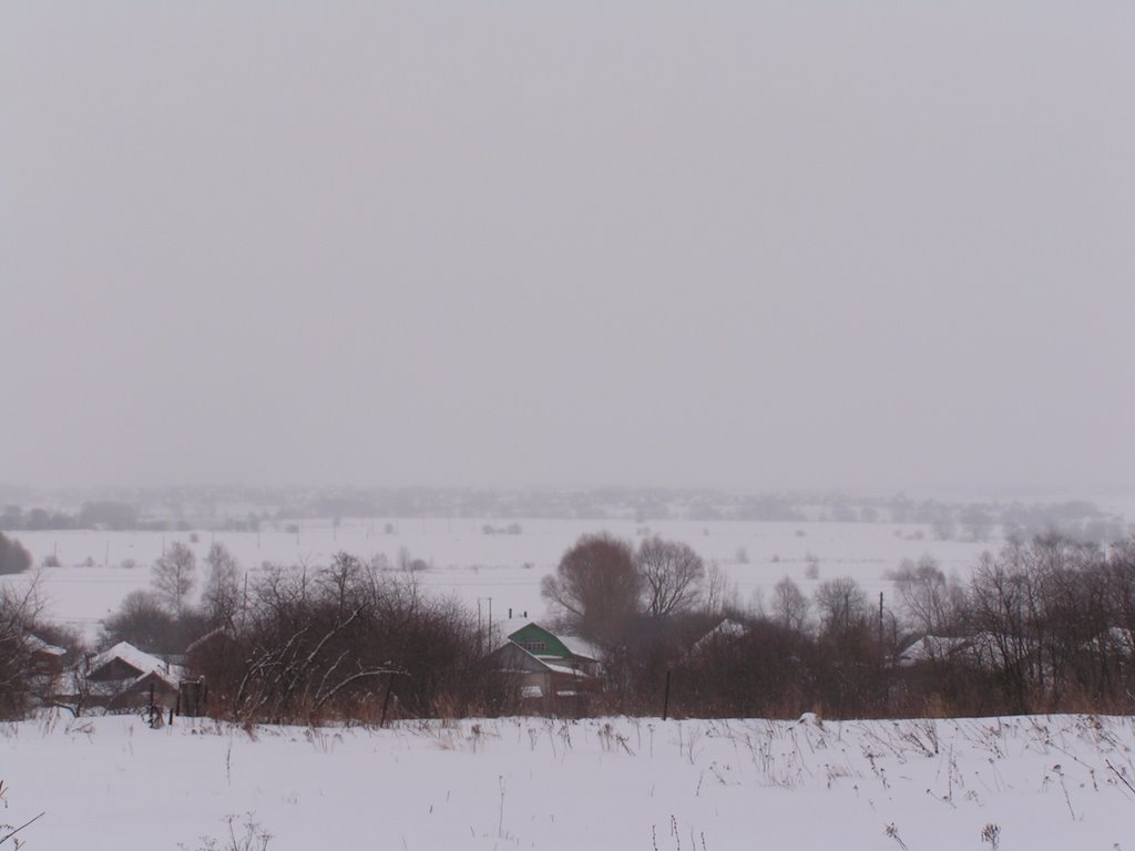 Timonino, Moskovskaya oblast', Russia, 140126 by anshpano