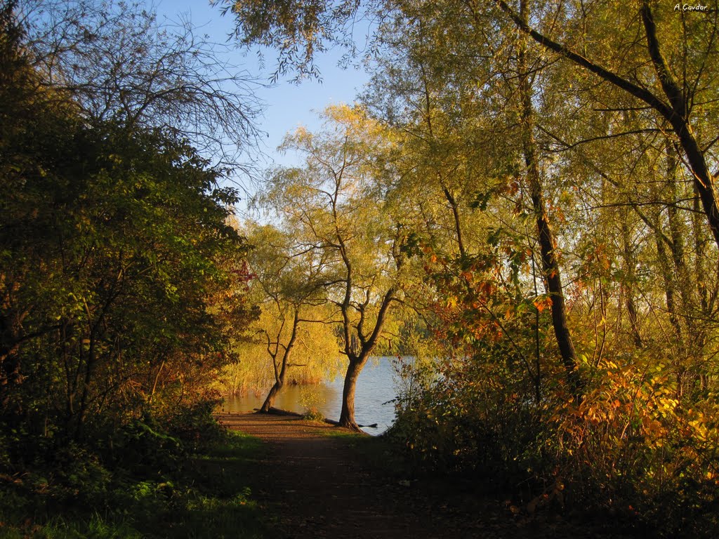 Dellbrück, Köln, Germany by alicavdar