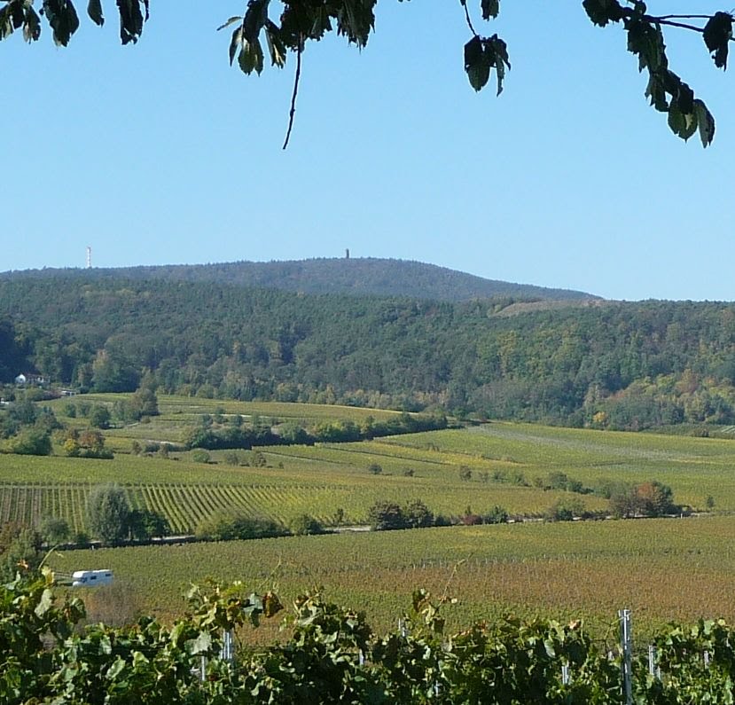 Blick zum Pfälzerwald by Immanuel Giel