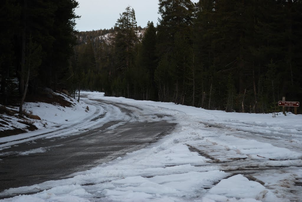 Back at the Trailhead by bensz86