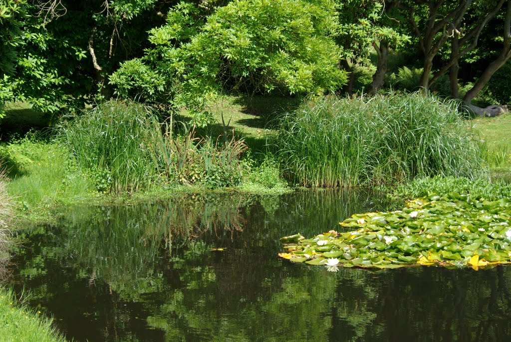 Fish pond, Arlington Court, Devon by Blue Haze