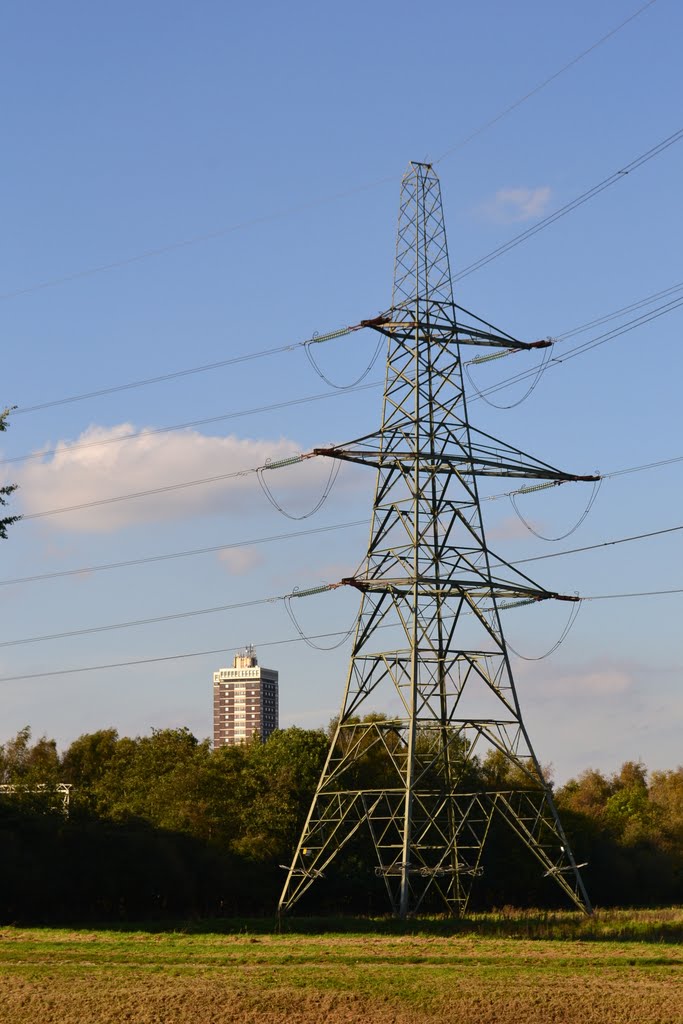 Stretford Flats and Pylon from River Mersey by annawaltzerpose