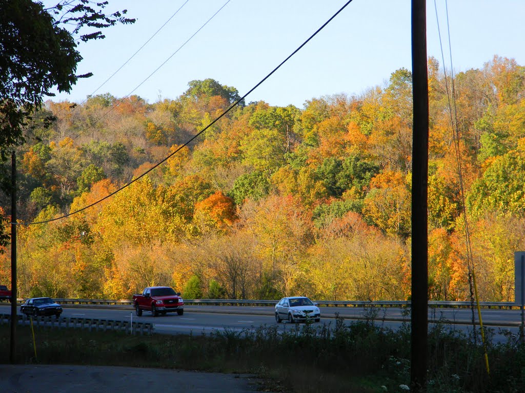 Fall Colors by Dylan Pederson