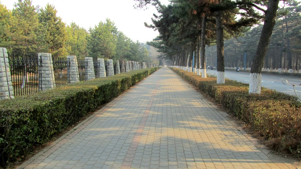 南湖大路的人行道 Sidewalk in Nanhu Road by wanghongtao999