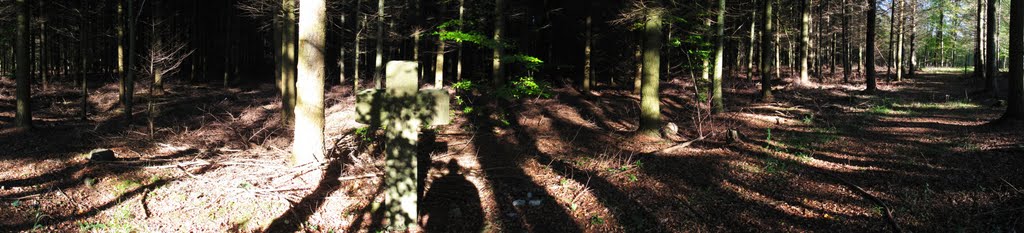 Panorama: Das Siebmacherkreuz - Tatort der Ermordung des Andres Schmit (31.08.1590) an einem alten Weg by H. Beierstettel