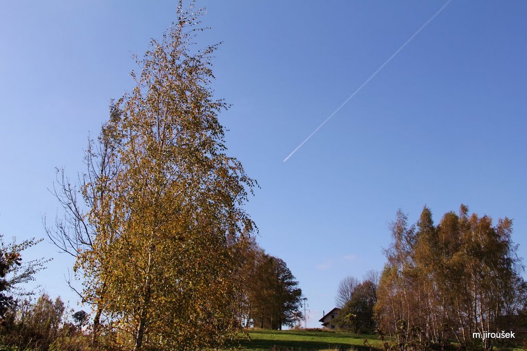 Kačák Krásná Studánka by Milan Jiroušek