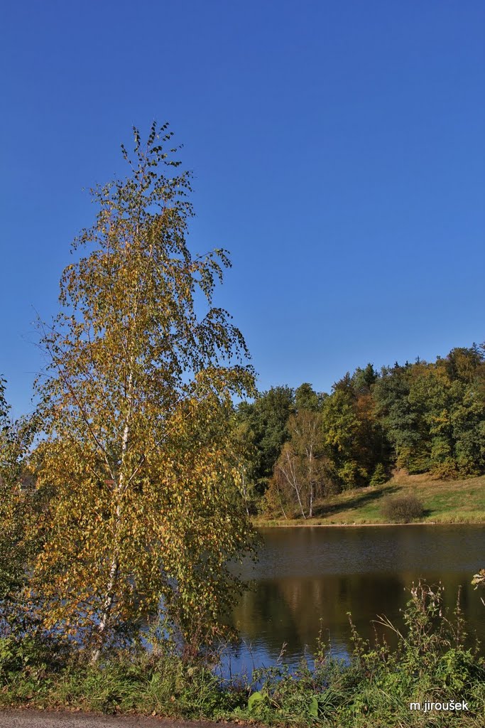 Kačák Krásná Studánka by Milan Jiroušek