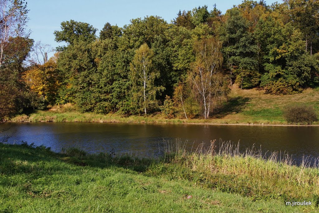 Kačák Krásná Studánka by Milan Jiroušek