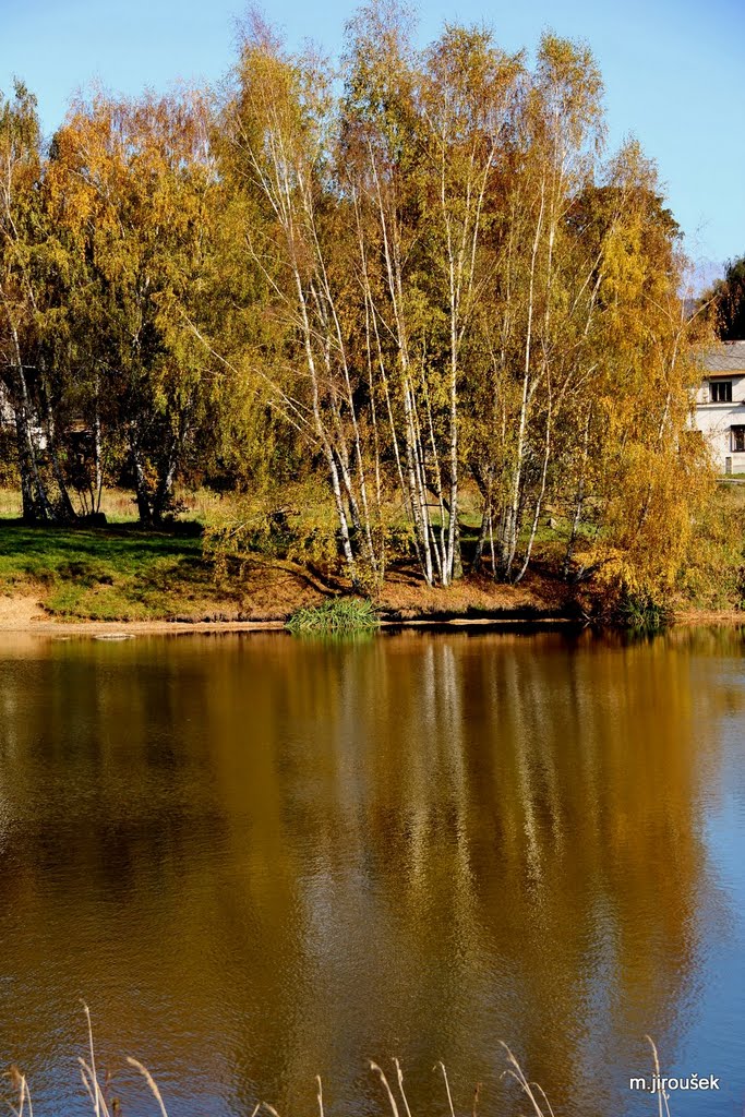 Kačák Krásná Studánka by  Milan Jiroušek