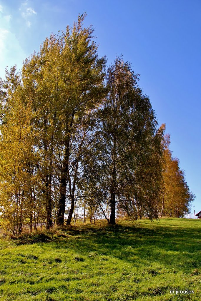 Kačák Krásná Studánka by  Milan Jiroušek