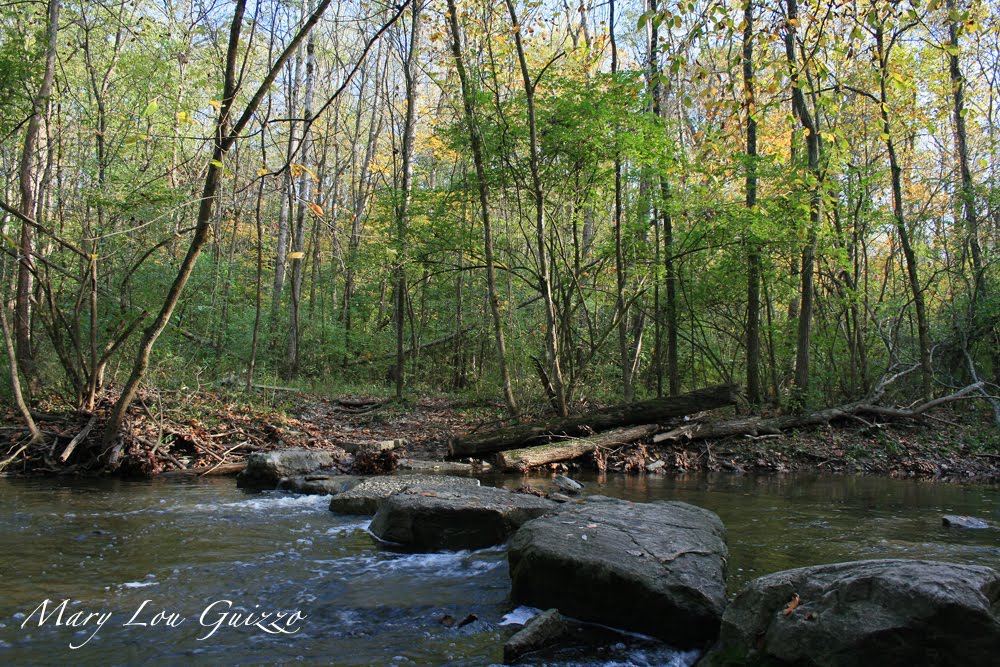 Sugar Creek at Bill Yeck Park by zulou