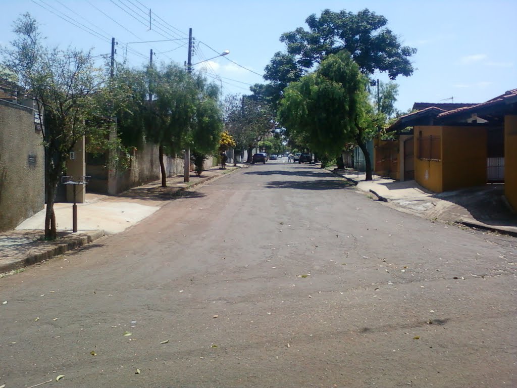 Rua: Jorge Velho esquina com Rua: Paraguai - Londrina - Paraná CEP 86010-600 by Douglas Berteloni