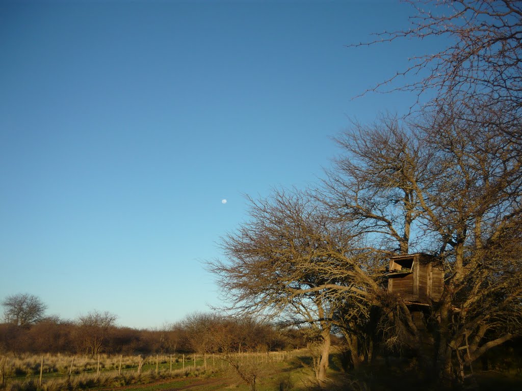 LUNA LLENA EN "LO DE BRUNO" by kocherengo