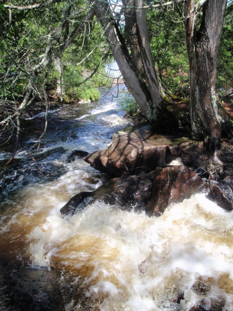 Nipissing, Unorganized, South Part, ON, Canada by Thomas Svob