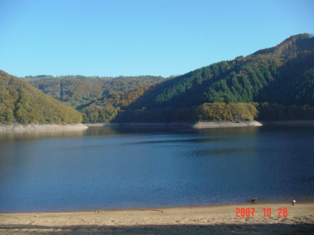 Lac de sarrans by Mickael B 12