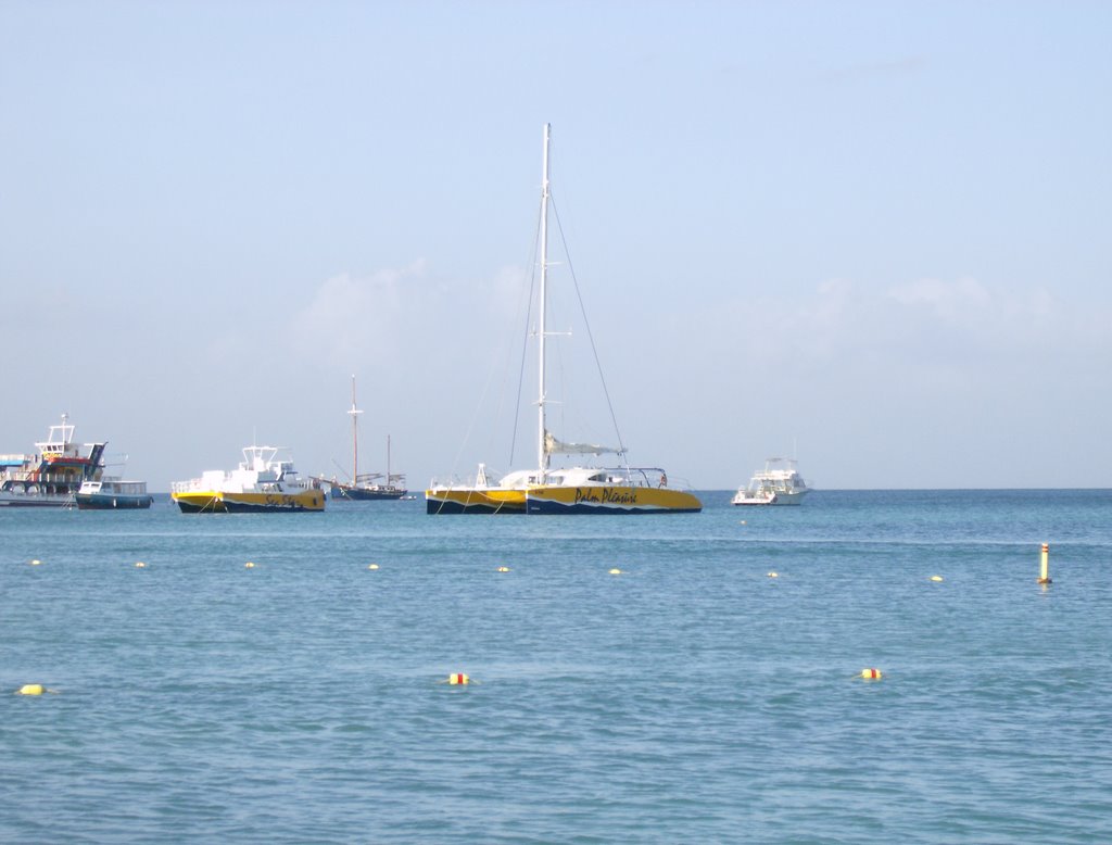 Pal Pleasure Snorkel Catamaran, Occidental Nov 11-18 2007 by ryansp73