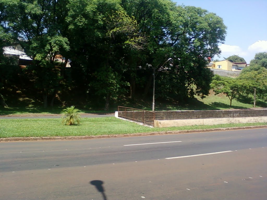 Av. Dez de Dezembro em Londrina - Paraná CEP 86026-980 by Douglas Berteloni