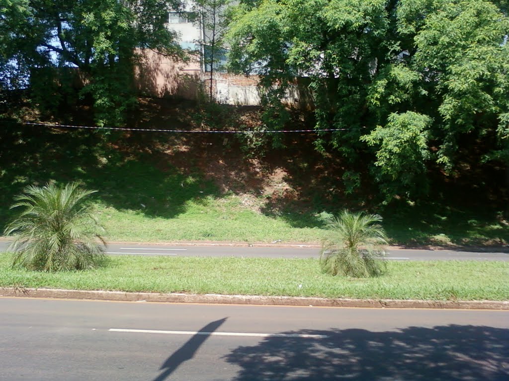 Lixo e Entulho - Av. Dez de Dezembro - Centro - Londrina - Paraná CEP 86026-980 by Douglas Berteloni