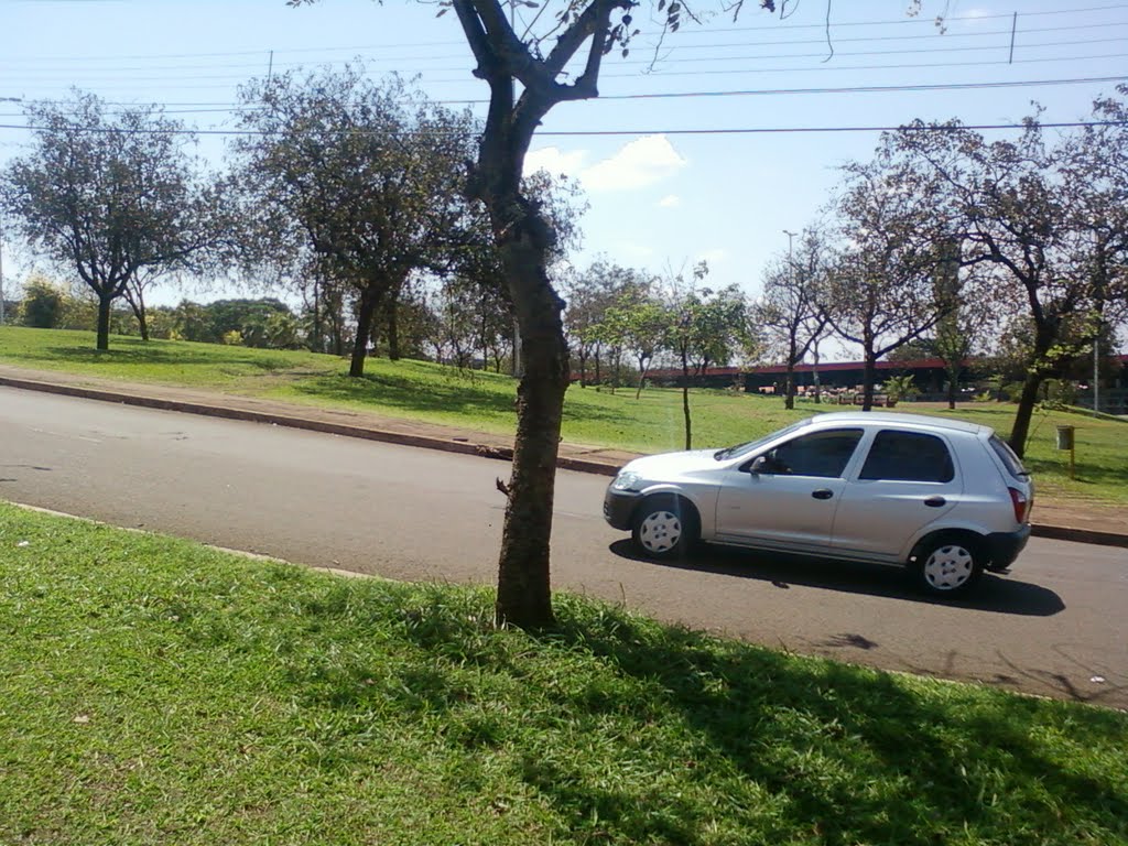 Av. Jabob Bartolomeu Minatti esquina com Av. Dez de Dezembro - Centro - Londrina - Paraná CEP 86026-980 by Douglas Berteloni