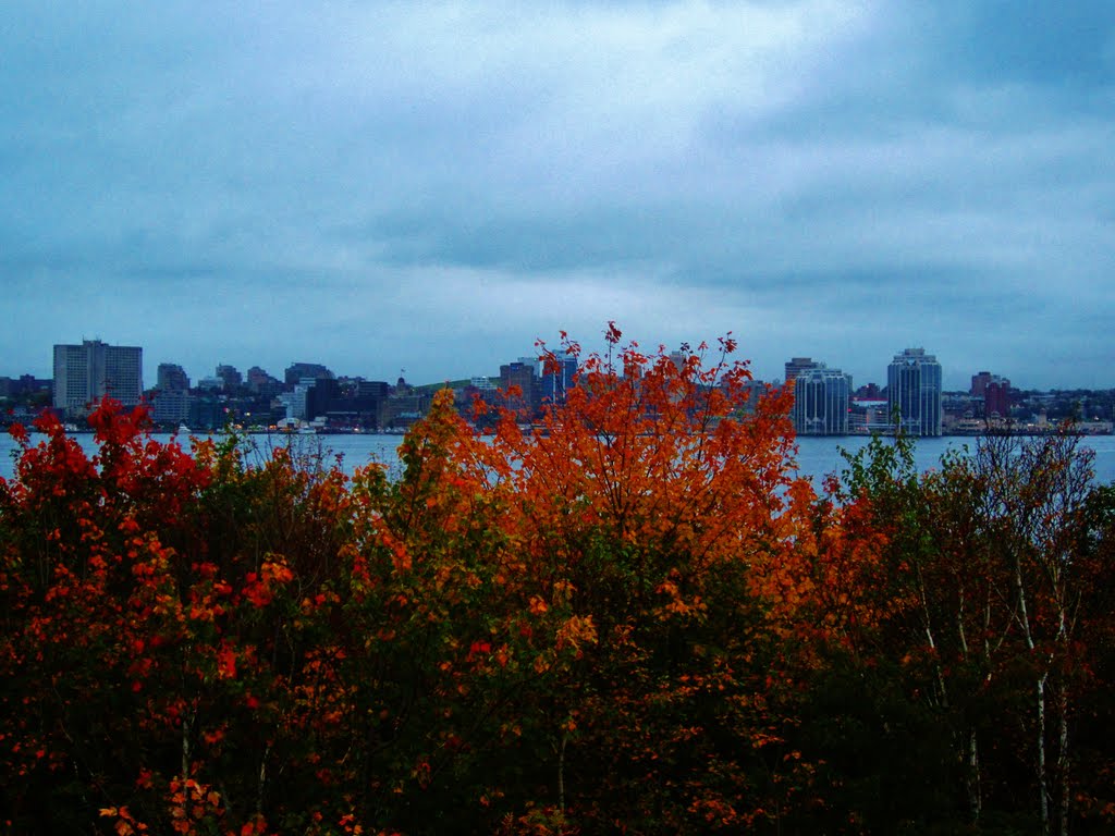 Halifax behind Fall Foliage by Nick Eisnor