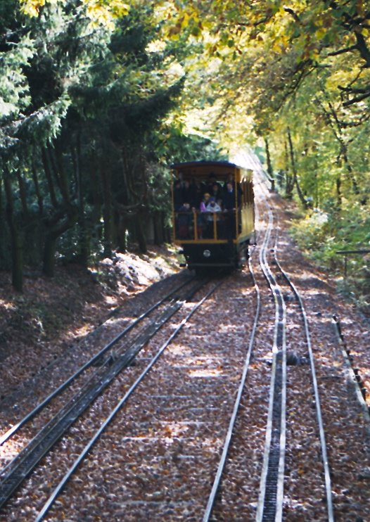 Wiesbaden, Nerobergbahn auf Strecke by DW72