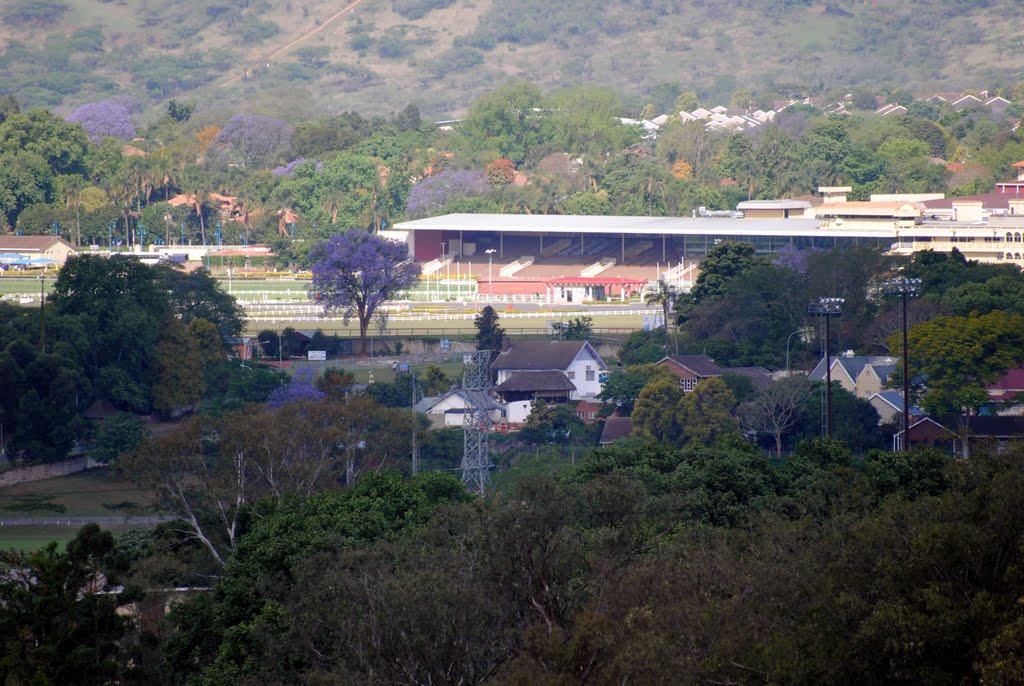 Scottsville Racecourse in Pietermaritzburg by Johan Pretorius