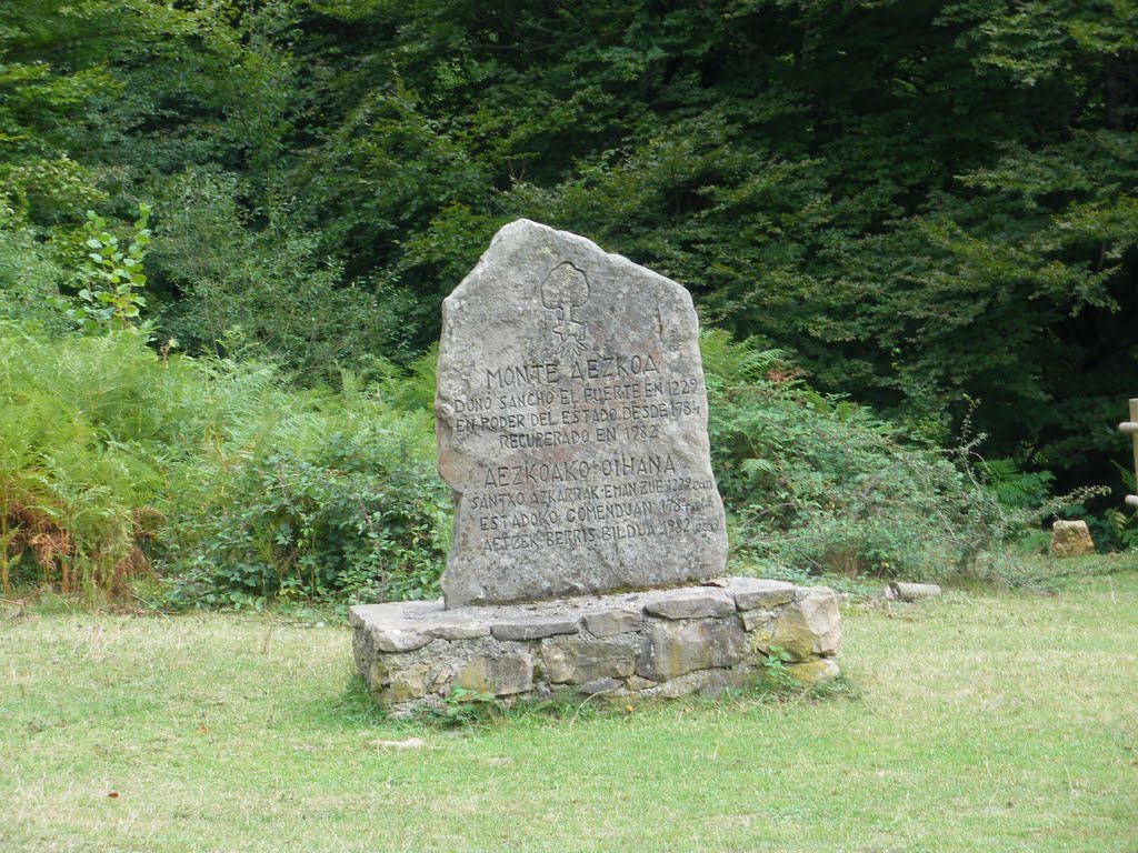 SELVA DE IRATI - ORBAITZETA (NAVARRA) by rvb vacaciones