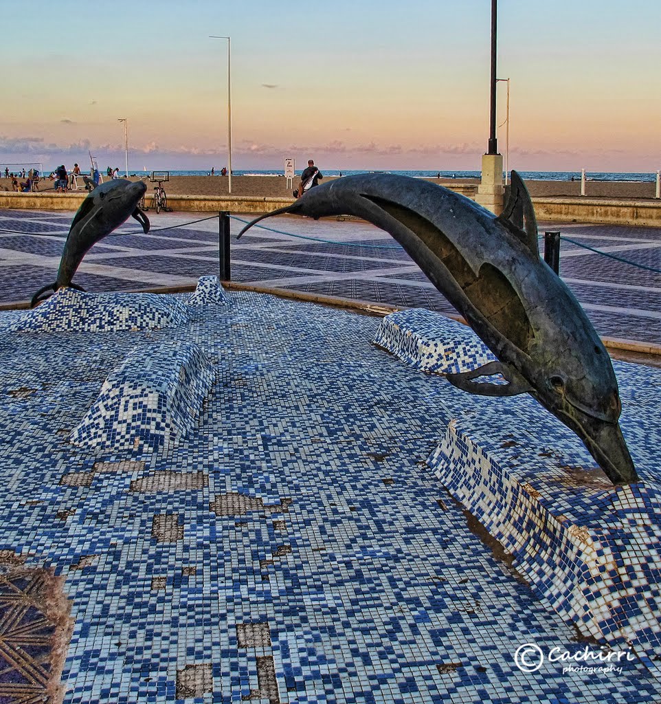 Valencia 2011 Los Delfines by el tio cachi cachirr…