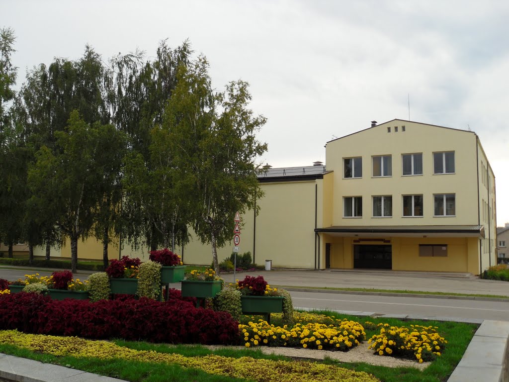 Ludza Town Library by vipe