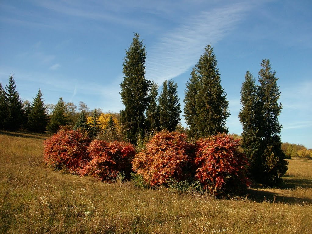 Sukorói Arborétum és kalandpark - Botanic Garden and Adventure Park,Sukoró by Pinke László