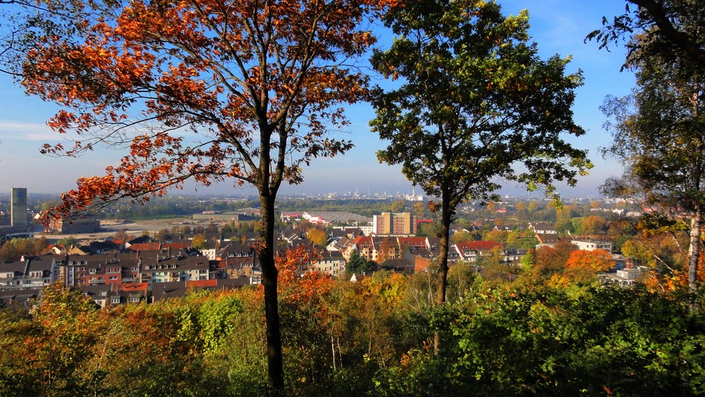 Gerresheim Herbst 2011 by Willi Prinz