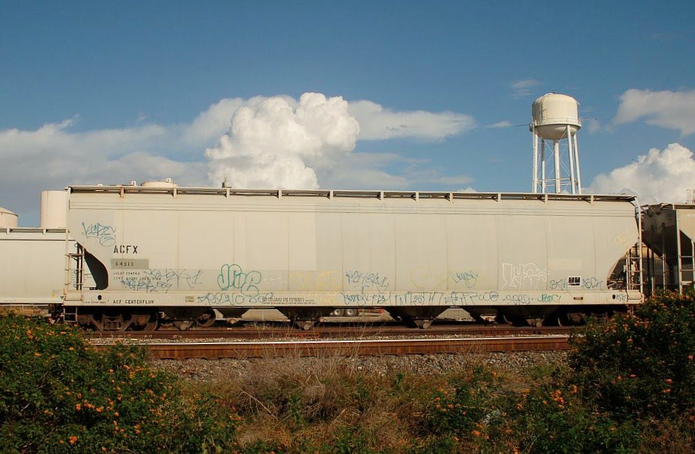 General Electric Rail Services Corporation Covered hopper No. 54313 at Auburndale, FL by Scotch Canadian