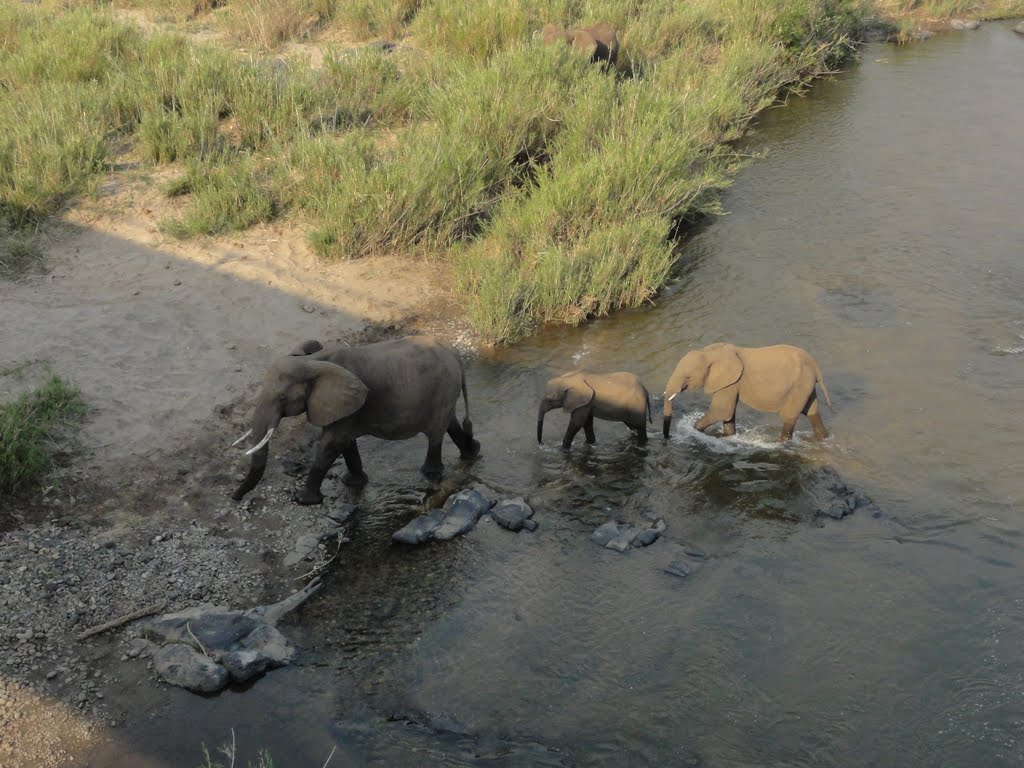 Olifants River, Kruger Nationaal Park, Kruger Park, Zuid-Afrika by MrRobbert.P