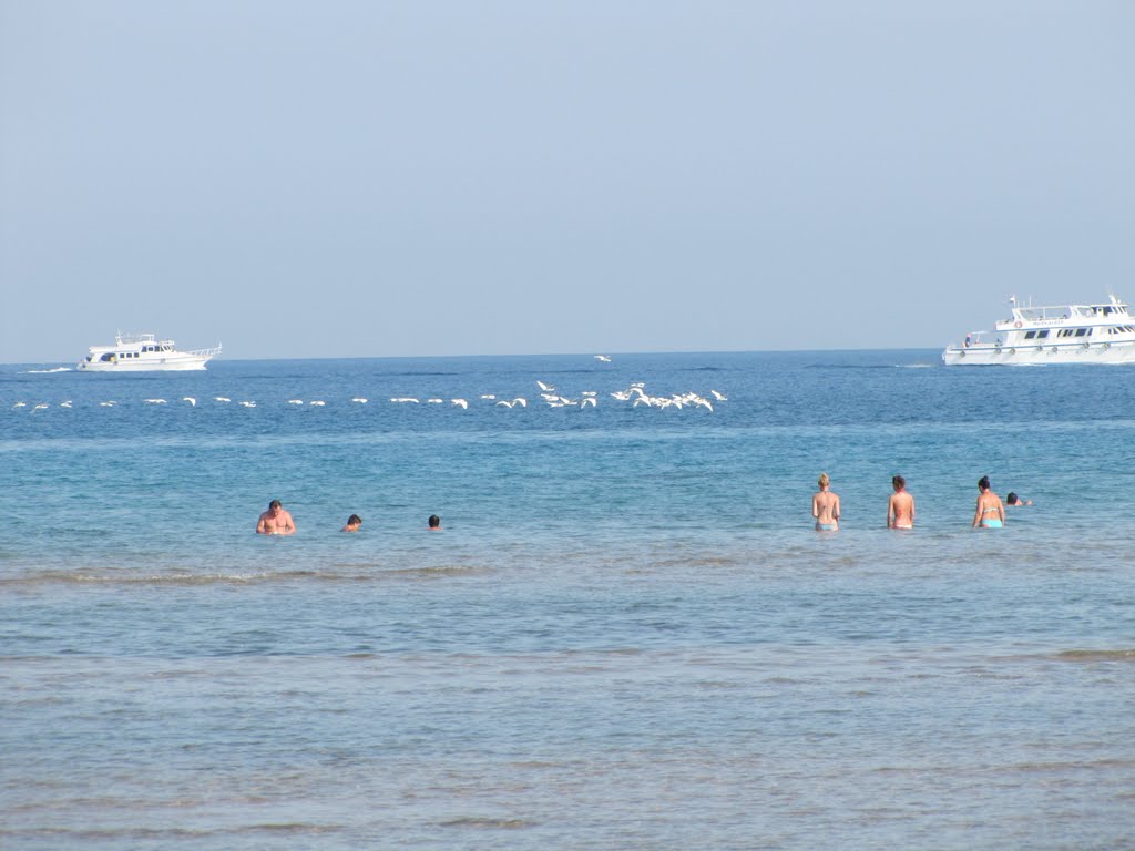 Hurghada, Qesm Hurghada, Red Sea Governorate, Egypt by Tóthné Magdi