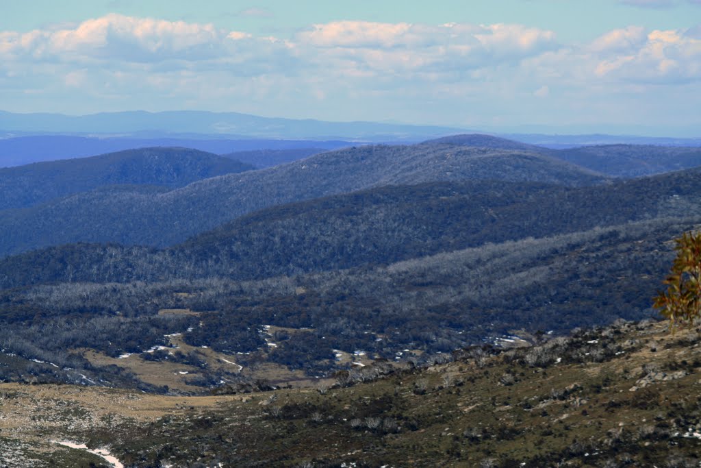 Kosciuszko National Park by Adalee