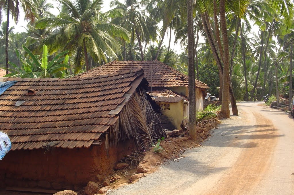 Bogmalo Houses by Steve Mail