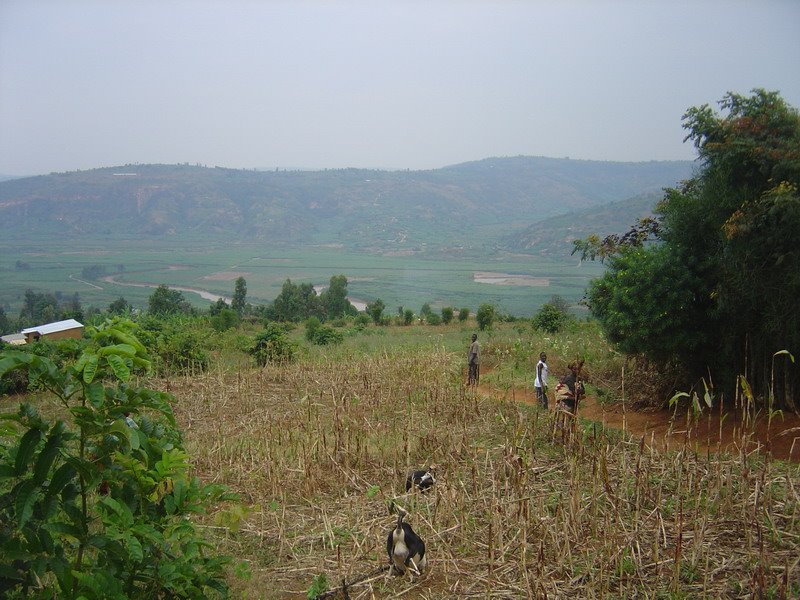 Panorama of Nyabarongo River by David Vaucher