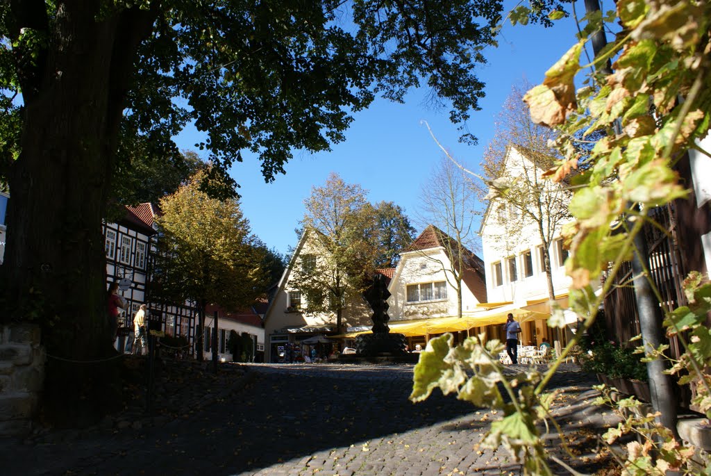 Tecklenburg by Dick van Veen