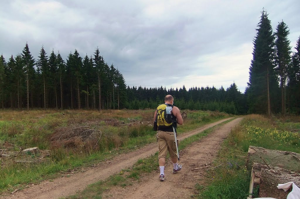 Noch mehr verloren im Wald by KatharineMaria