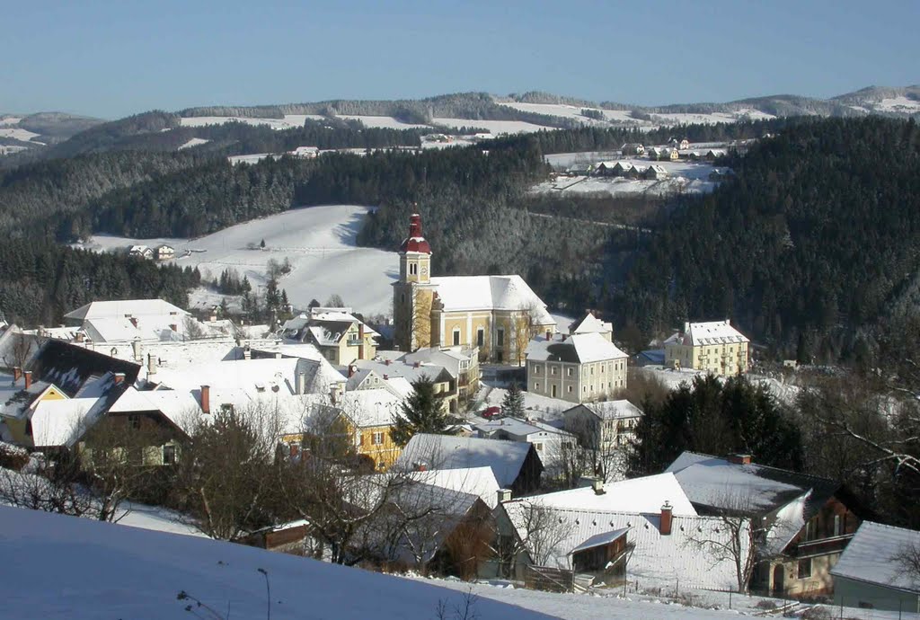 Blick auf das winterliche Birkfeld by Otelecaner