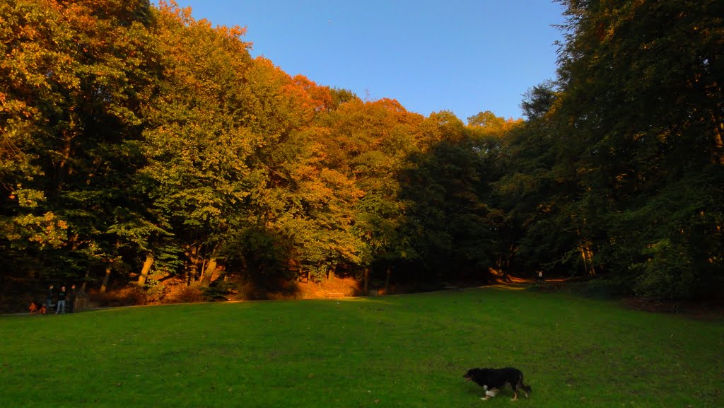 Goldener Oktober by Willi Prinz