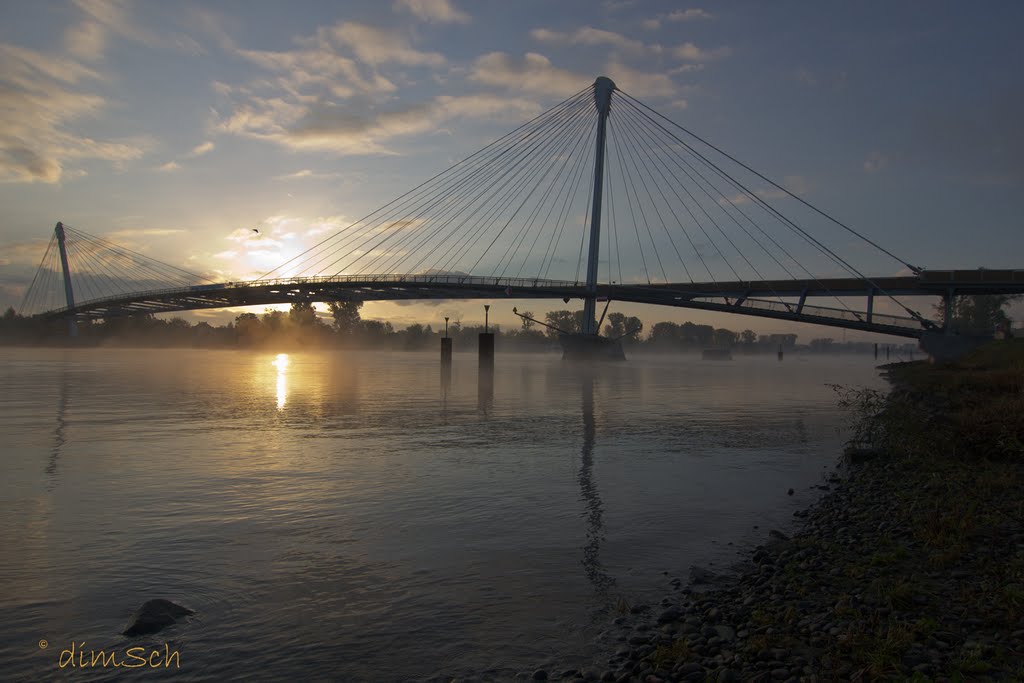 "Passerelle des deux Rives" by dimSch