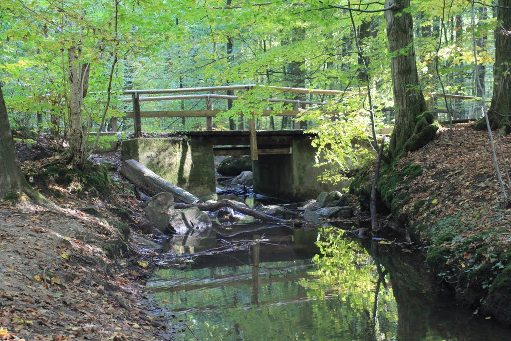 Kisdorfer Wohld - Wald - Fluss Bredenbek by Sven J.