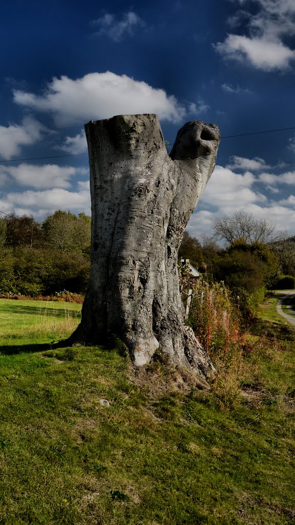 On Jack Mytton Way by Tim Gardner