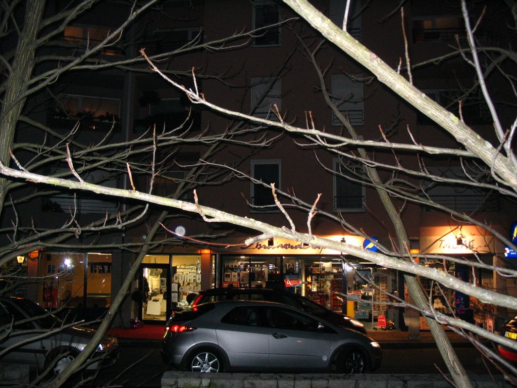 Place de Savoie, la nuit (branches) by Paul Myers