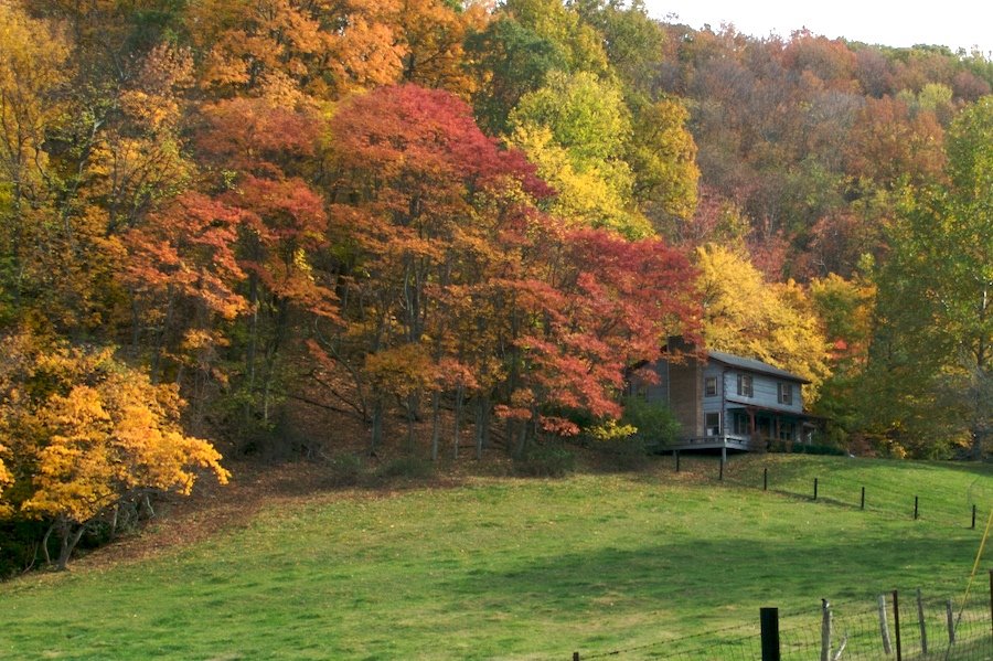 Fall in Franklin, Tennessee by jdnet